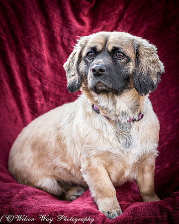 Foster Trudy-56