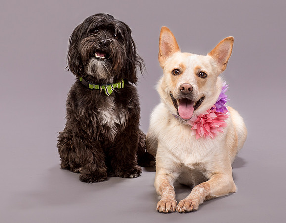 Maggie and Henry-