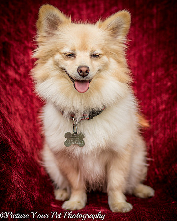 Foster Shirley-6092