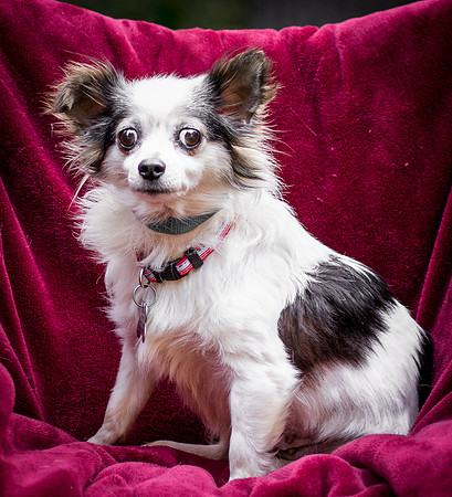 Foster Anouk-8692