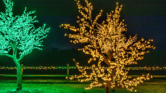 Christmas-2809