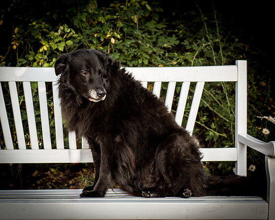 Hunter-0233