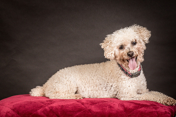Foster Mae-9029