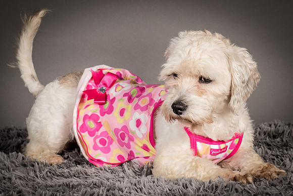 Foster Everly-2206