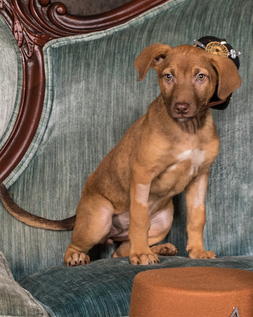 Foster Bronwyn-8328