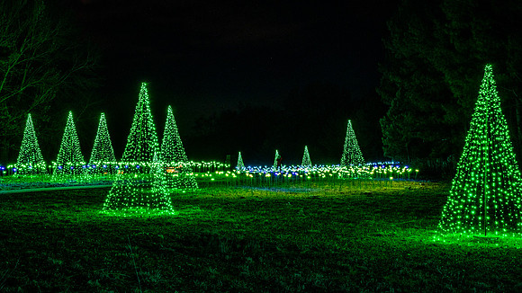 Christmas-2793
