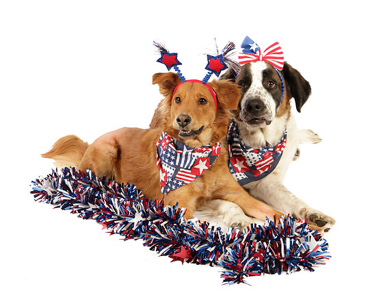 Ollie and Heidi-8316