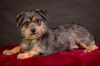 Foster Nadine-9588