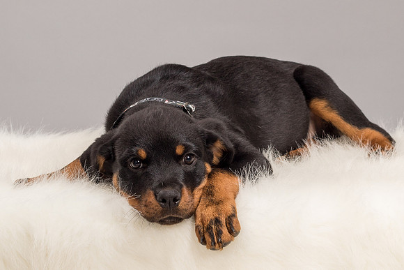 Foster Titus-7605
