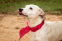 Carley-1194