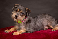 Foster Nadine-9586