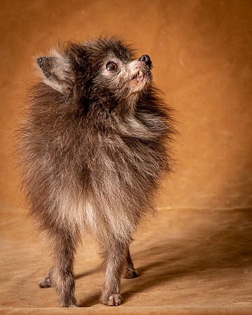Foster Loretta-1301