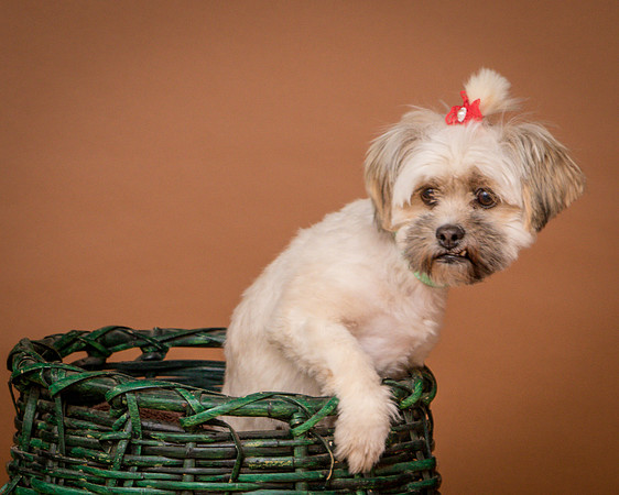 Foster Frida-9804