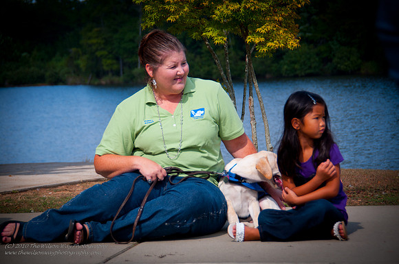 Guide Puppies (9 of 191)