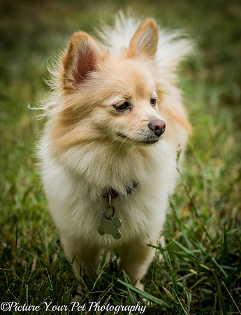 Foster Shirley-6376
