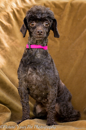 Foster Edna-2873