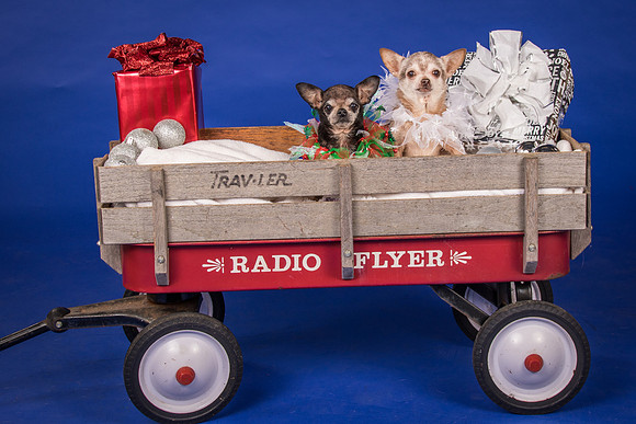 Caylor-Gretta and Priscilla-7926
