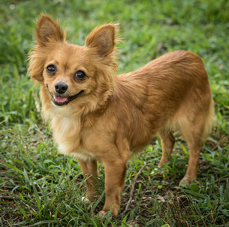 Foster Dolly-7778