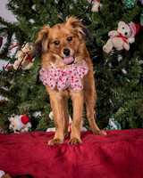 Foster Elyse-3846