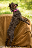 Foster Edna-2889
