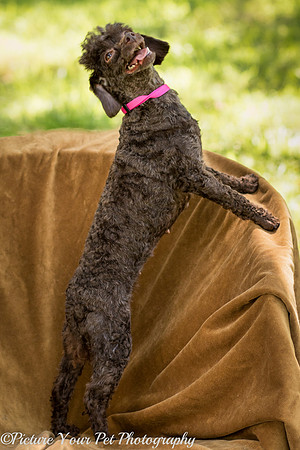 Foster Edna-2889