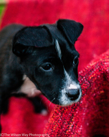 Foster Blythe-3953