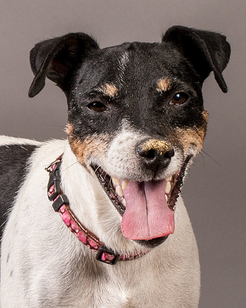Foster Pollyanna-3941