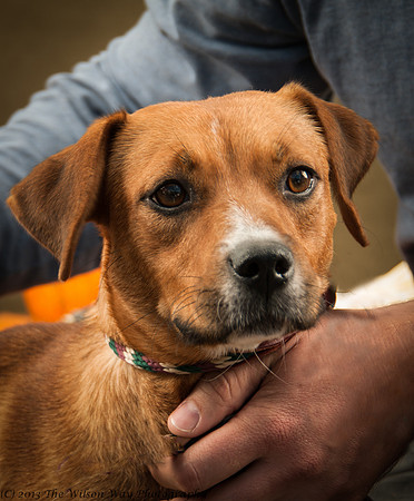 Foster Thelma-6929