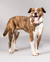 Foster Coolidge-3094