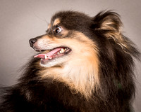 Foster Clint-4219
