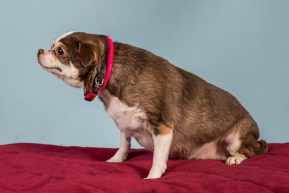 Foster Sophie-5202
