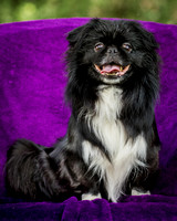 Foster Prince-0764