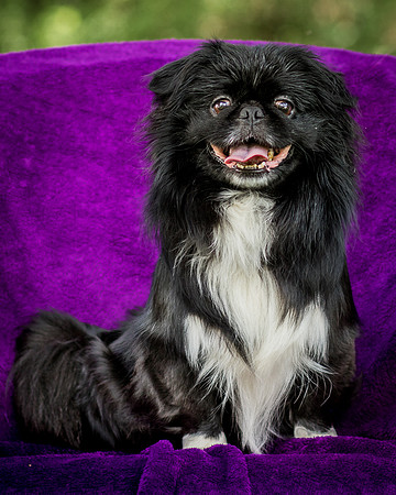 Foster Prince-0764