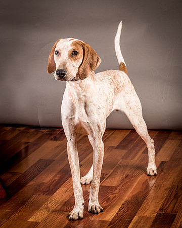 Foster Memphis-3007