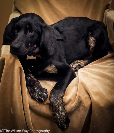Foster Clementine-1396