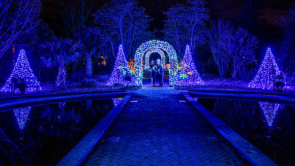 Christmas-2837
