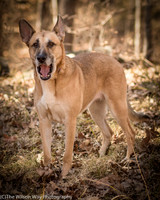 Foster Rita-2515