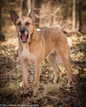 Foster Rita-2515