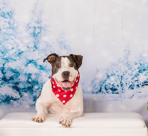 Foster Duke-0495