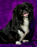 Foster Prince-0736