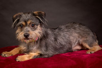 Foster Nadine-9581