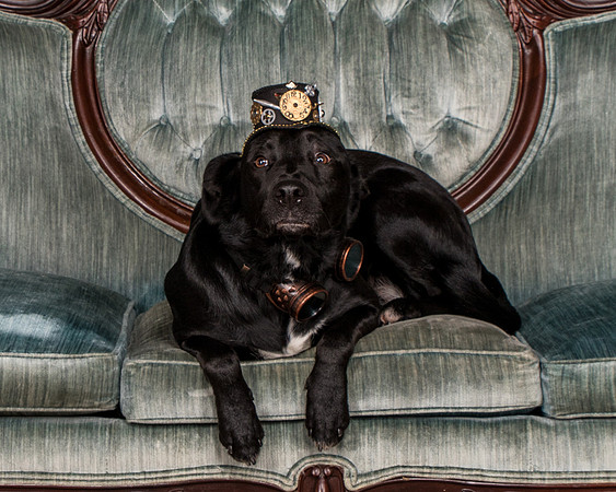 Butler-2826