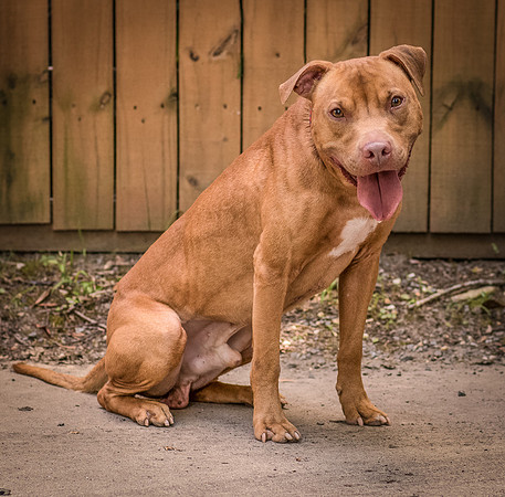 Foster Pablo-8383