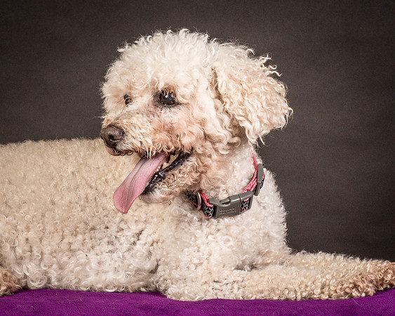 Foster Mae-8991