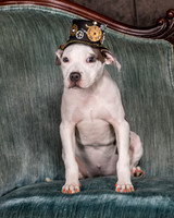 Foster Luna-4668