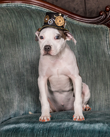 Foster Luna-4668