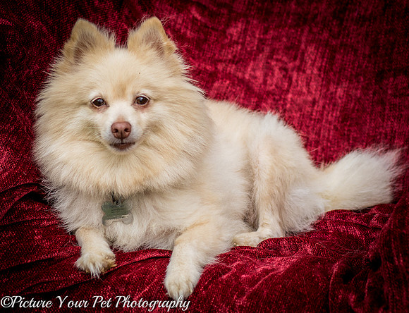 Foster Laverne-6220