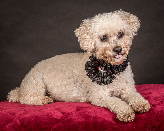 Foster Mae-9067
