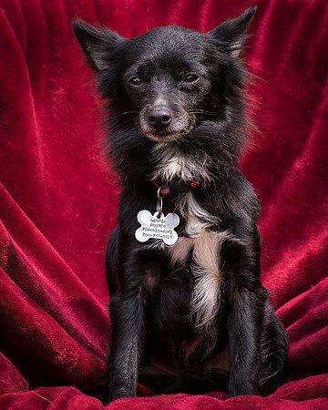 Foster Julio-8477