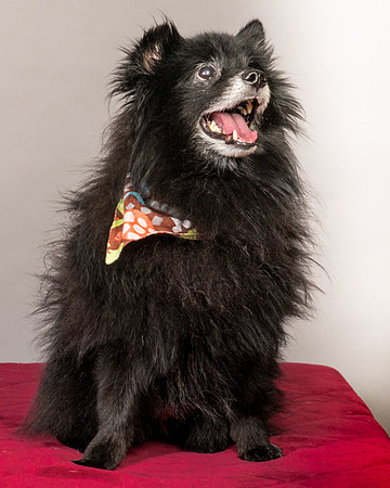 Foster Wayne-7823